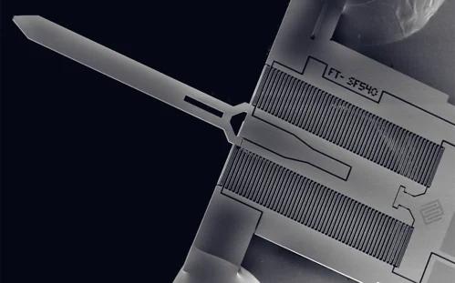 SEM micro-image of MEMS force sensor for nanoindenter.