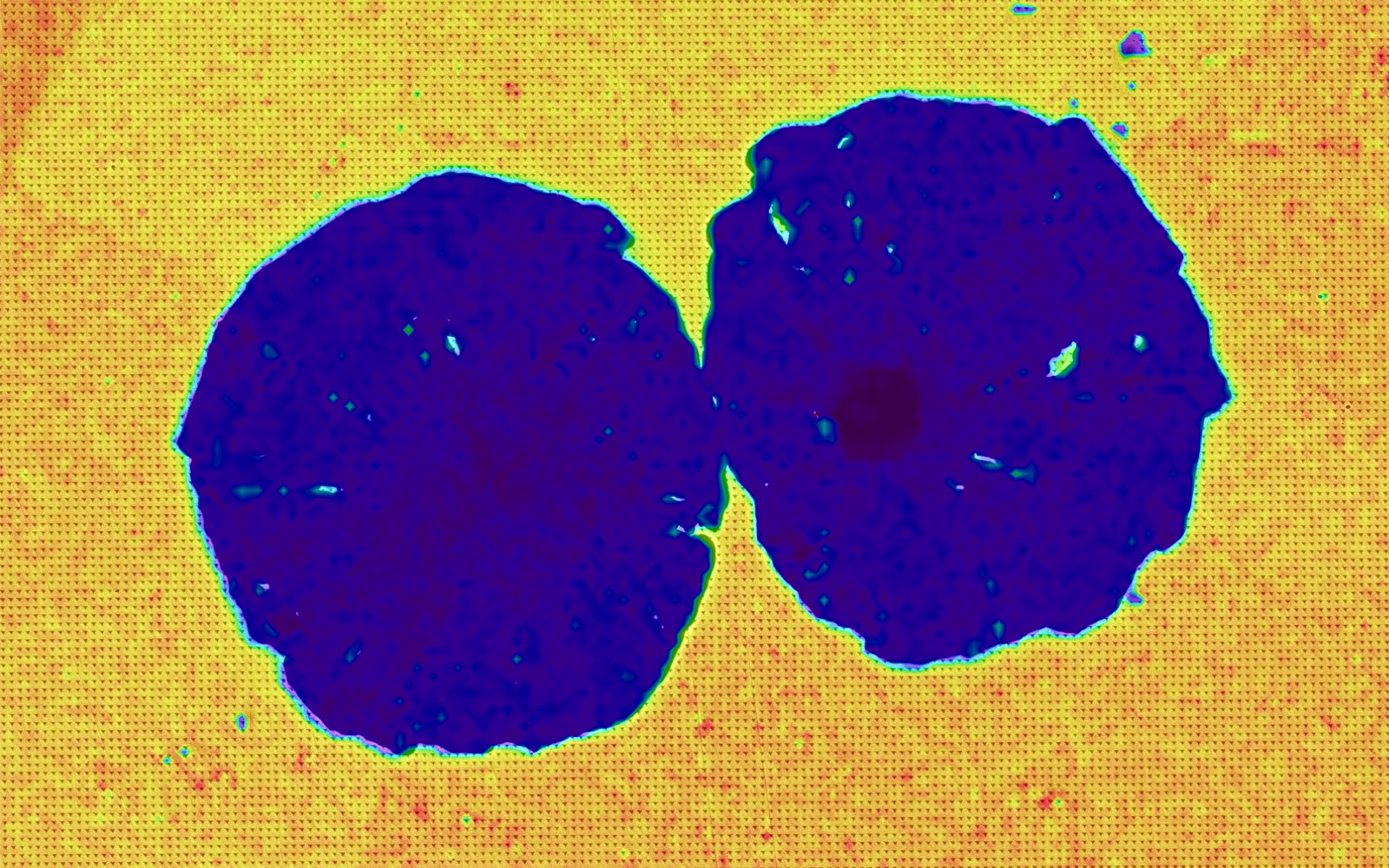 Mechanical Microscopy